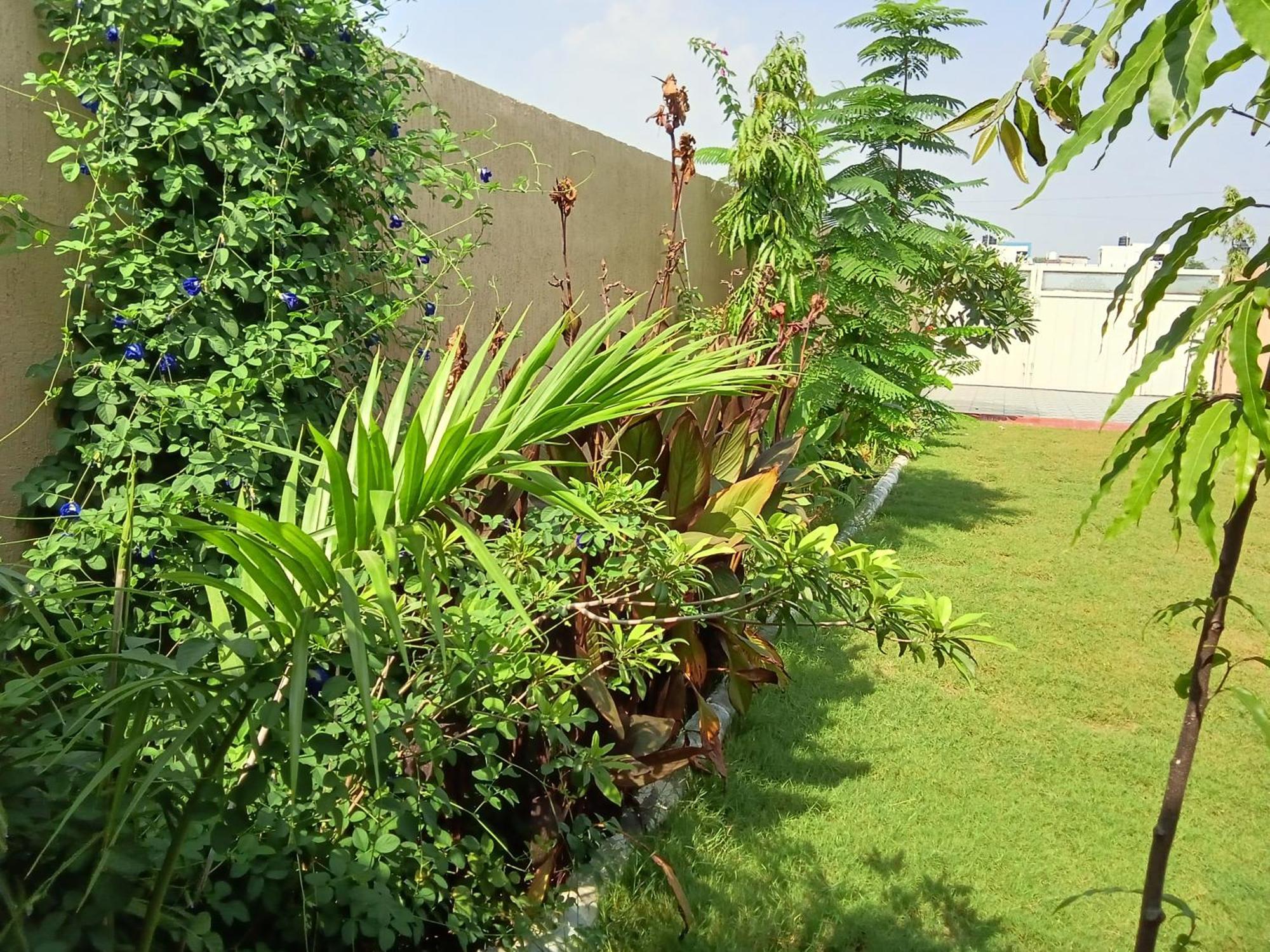 Suvarna Farm'S Hotel Watka Ngoại thất bức ảnh